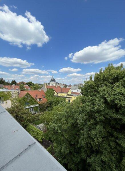 Ausblick