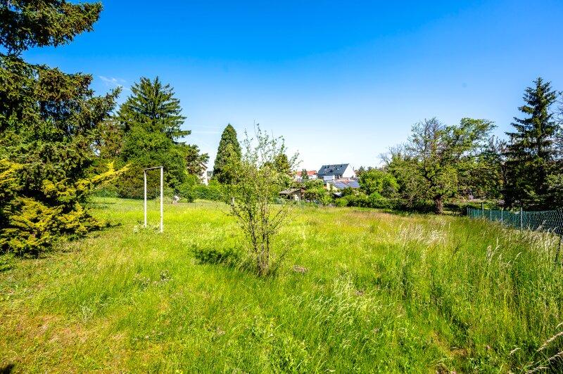 Highlight - Garten