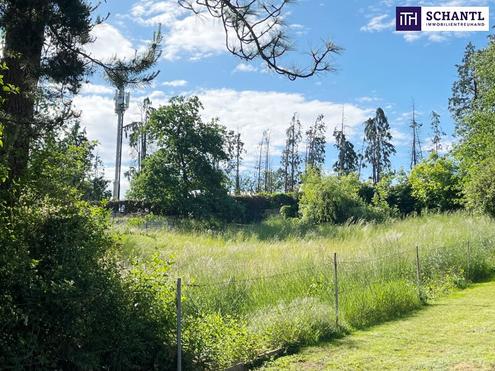 Private Luxury Living - Ihr exklusiver R�ckzugsort in der Petersbergenstra�e! PROVISIONSFREI!