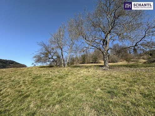 7 Parzellen verf�gbar - Tolles Baugrundst�ck am Sonnenhang in Prenning bei Deutschfeistritz - 3.700 m�, aufteilbar in 7 Parzellen