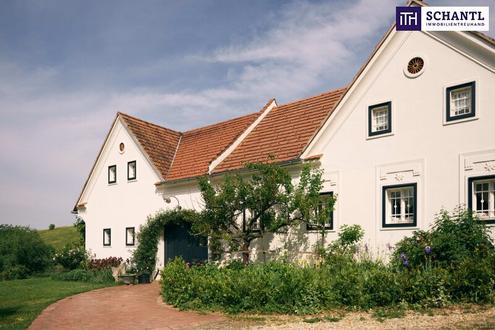 EINFACH GENIAL! VIERKANTHOF MIT WILDGEHEGE VOR DER HAUST�RE! Bad Loipersdorf: Wo Natur, Geschichte und Exklusivit�t aufeinandertreffen!