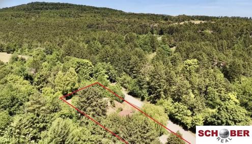 2.061 m2 Traumgrund neben dem Wald