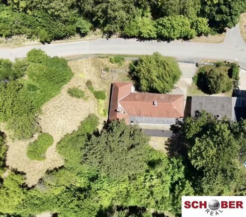 Riesiger Baugrund in Waldrandlage