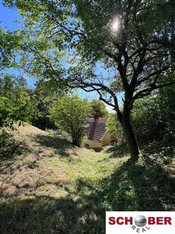 Idyllische Waldrandruhelage
