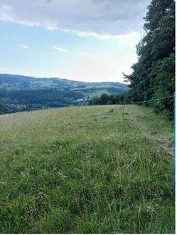 Traumhaftes Grundst�ck nahe Neulengbach/Altlengbach