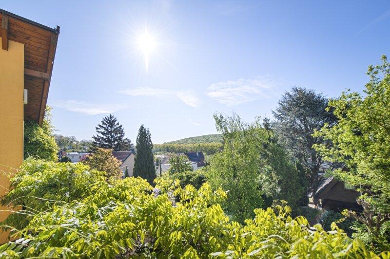 Fernblick Balkon