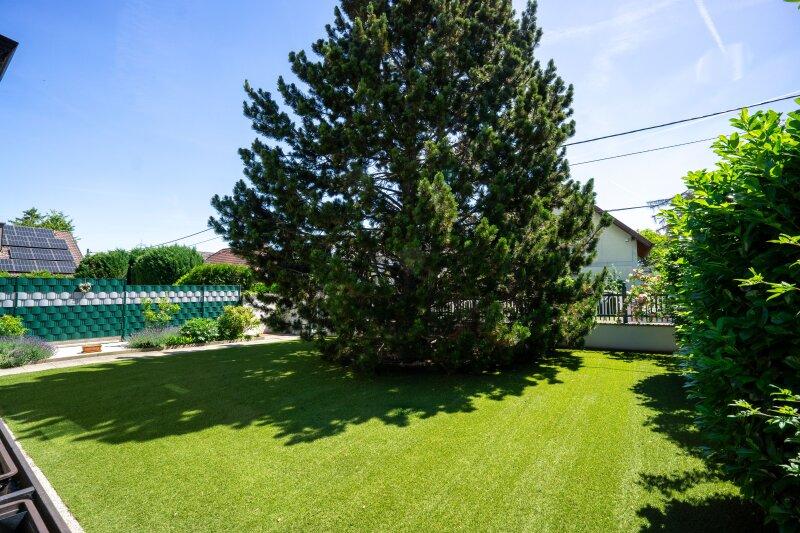 Garten mit Schwarzf�hre und Kunstrasen