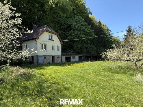 Ein St�ck Zukunft im Gr�nen!