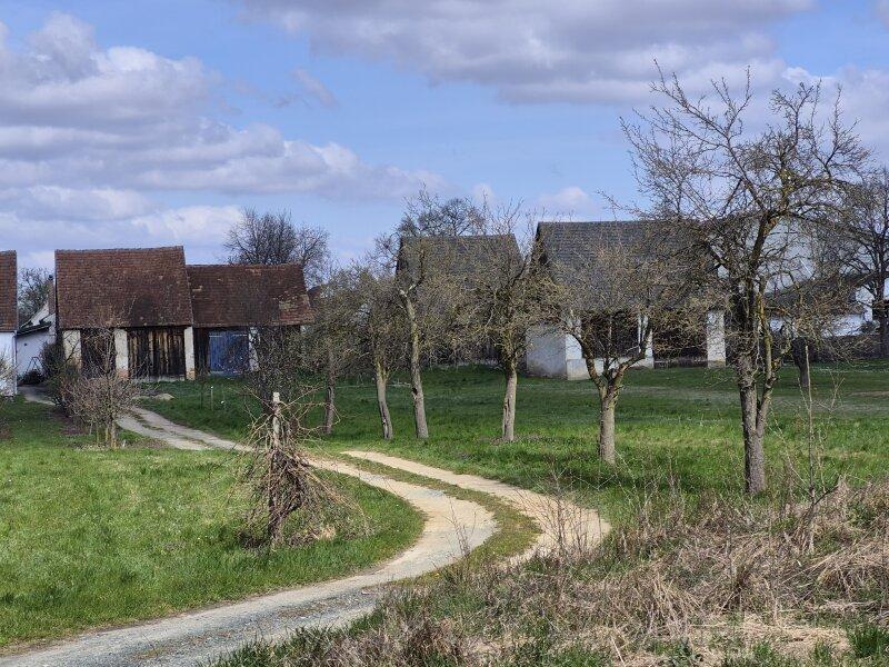 R�ckansicht