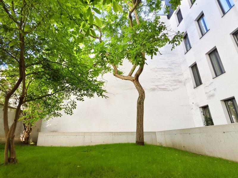 Terrasse/Garten