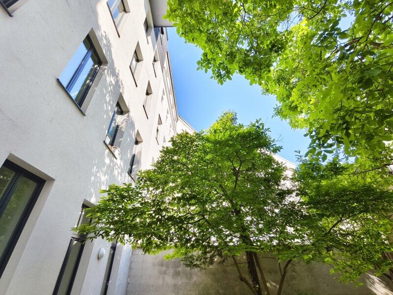 Terrasse/Garten