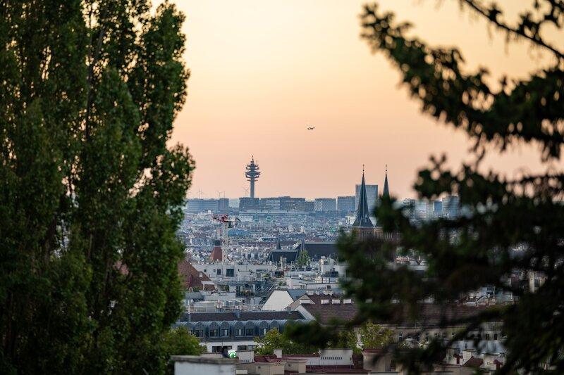 Ausblick vom Grundst�ck