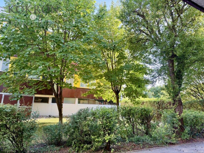Gr�ner Innenhof