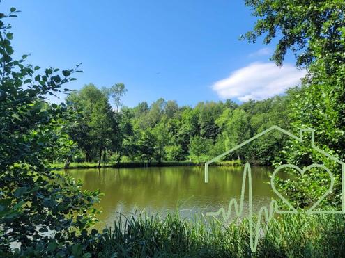 Naturparadies mit Fischteich, Fischerh�tte und Wasserrechten - nahe Stadtschlaining