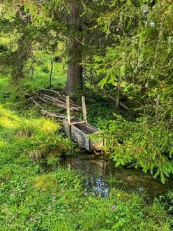 10 Forst- und Naturfl�che im Lachtal