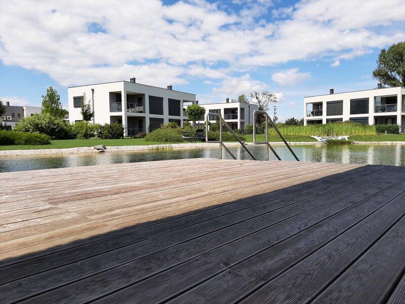 Schwimmteich