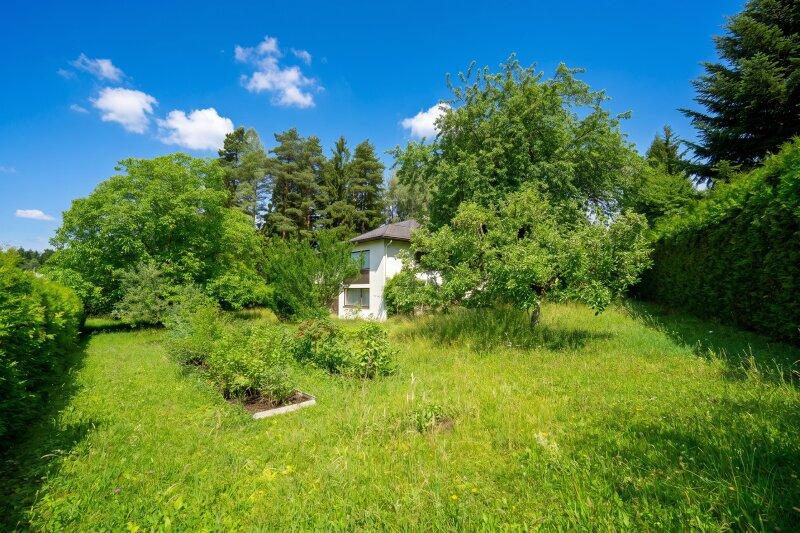Blick aus der s�d�stlichsten Grundst�cksecke