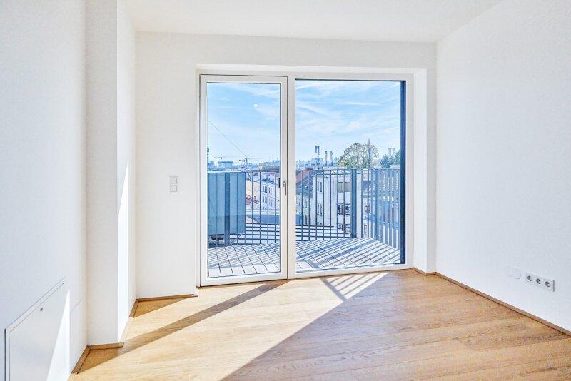 Zimmer DG 3