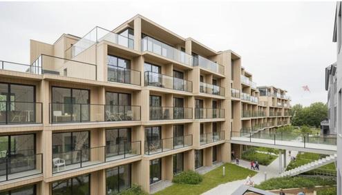 Bauprojekt Neubau baubewilligt: Studentenwohnheim