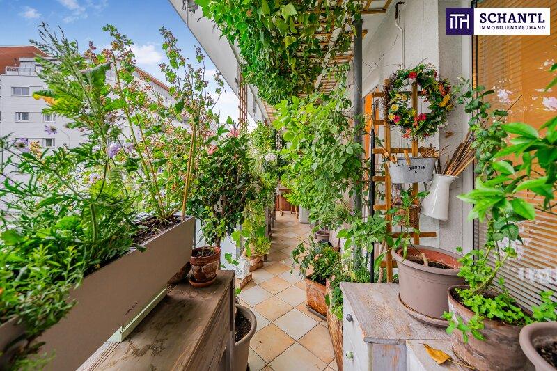 Loggia 2