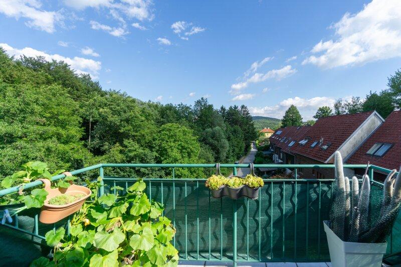 Ausblick Terrasse 2