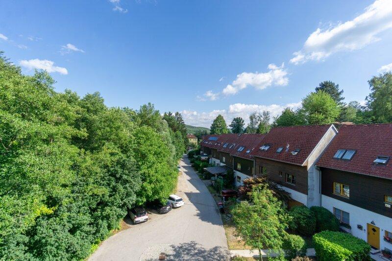 Gr�nblick
