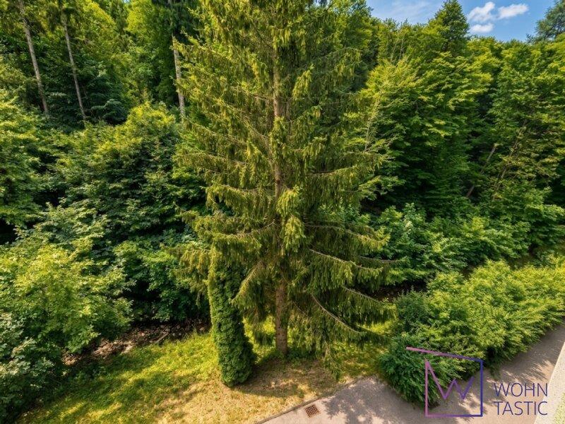 Naturnaher Gr�nraum mit kleinem Bachlauf