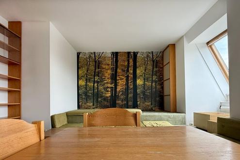 M�blierte 2 Zimmer DG-Wohnung N�he U4 Ober St. Veit