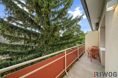 Zentrale und hochwertig Sanierte 1-Zimmer-Wohnung mit S�D-WEST-Terrasse und Gr�nblick in gepfegter Anlage