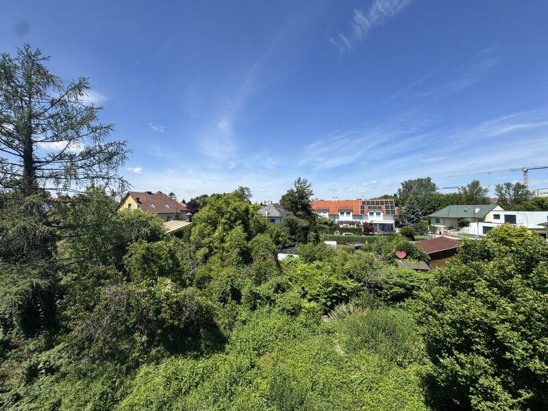 Garten Aussicht