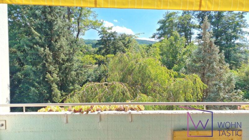 Fantastischer Gr�nblick von der eigenen Loggia