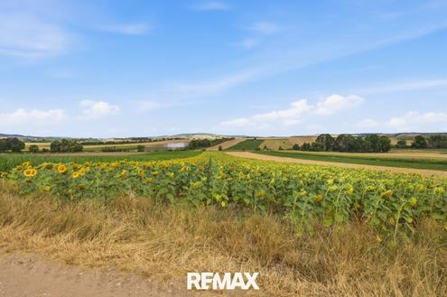 Landwirtschaftliche Fl�che mit 11 710 m� in Untermallebern zu verkaufen!