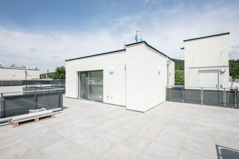 Terrassenaufgang