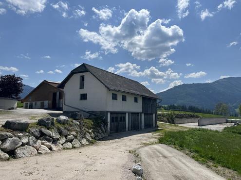 Wohnhaus mit Hallen und Stallgeb�ude