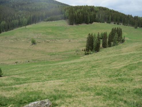 4,2 ha Wiesenfl�che im Raum Knittelfeld