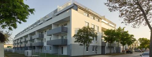 2-Zimmer-Neubauwohnung inkl. Loggia, Komplettk�che und Kellerabteil in Wiener Neustadt/ CQ02 Top 4-11