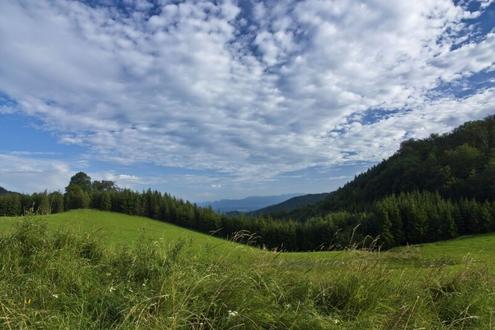 2 ha Wiesengrund mit Baufl�che