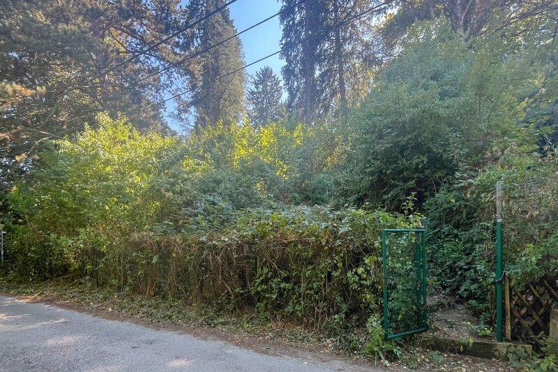 aktuelles Foto, Grundgrenze zur Privatstra�e