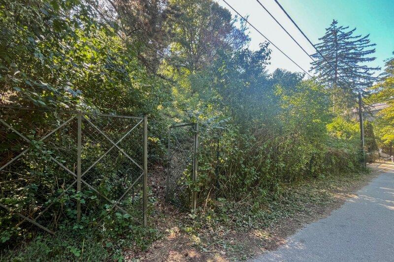 aktuelles Foto, Grundgrenze zur Privatstra�e