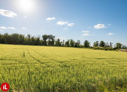 Betriebsgrundst�ck "ANTONIUS" in Margarethen am Moos