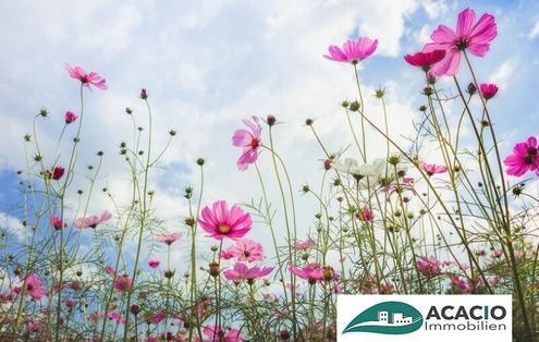 Bauplatz im Herzen des Tullnerfeldes