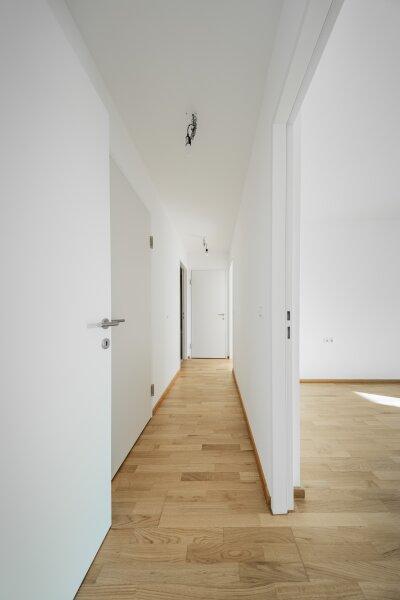 Gang