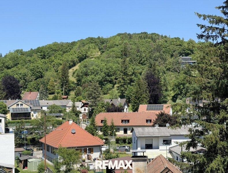 Ausblick