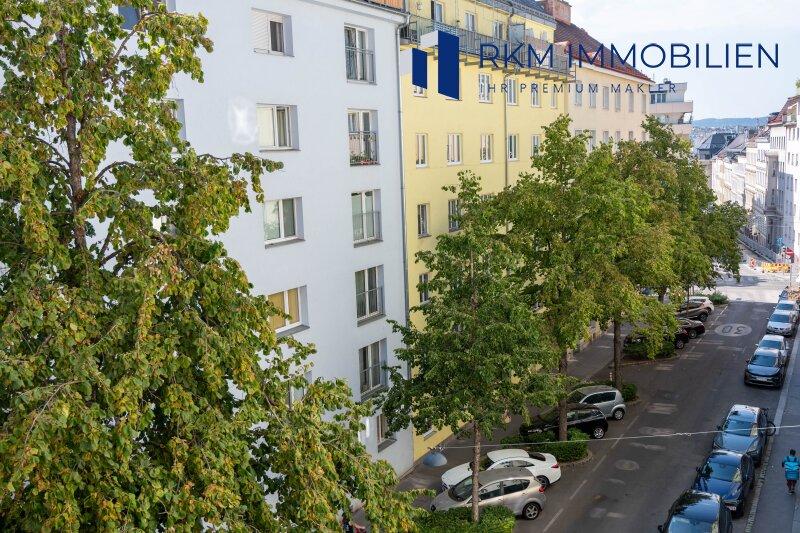 Blick auf eine gr�ne Stra�e