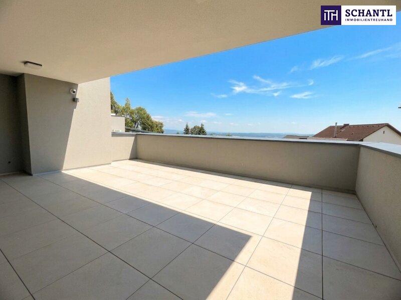 Terrasse 1