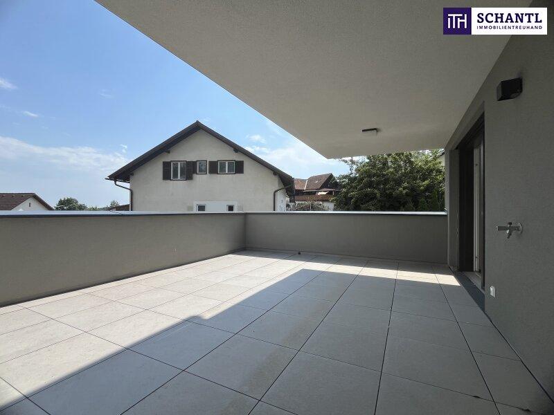 Terrasse 5