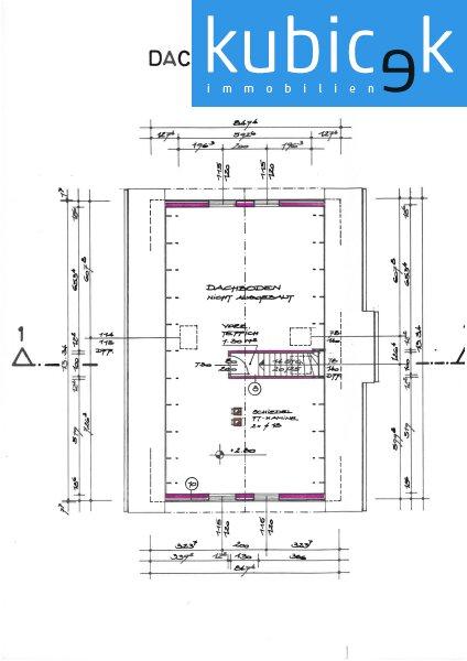 Plan DG