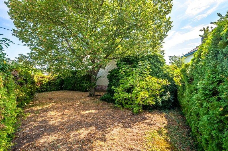 Highlight - Gartenansicht