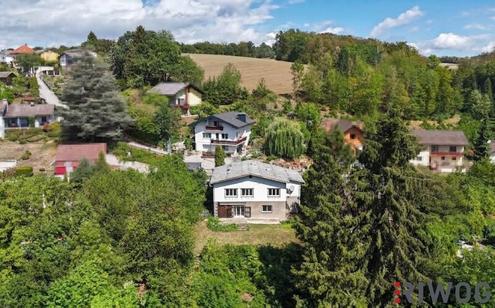 Rarität // Südhang // Bach // Biotop // absolute Ruhelage an der Waldgrenze