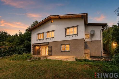 Rarit�t // S�dhang // Bach // Biotop // absolute Ruhelage an der Waldgrenze